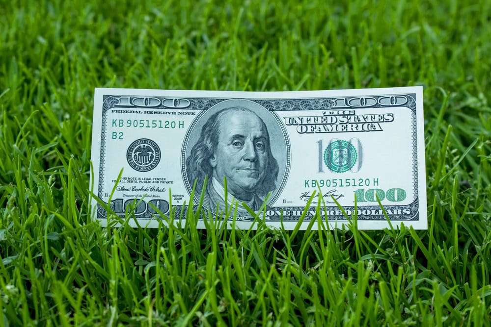 kiss-my-grass-demo-real-cost-diy-landscaping-blog