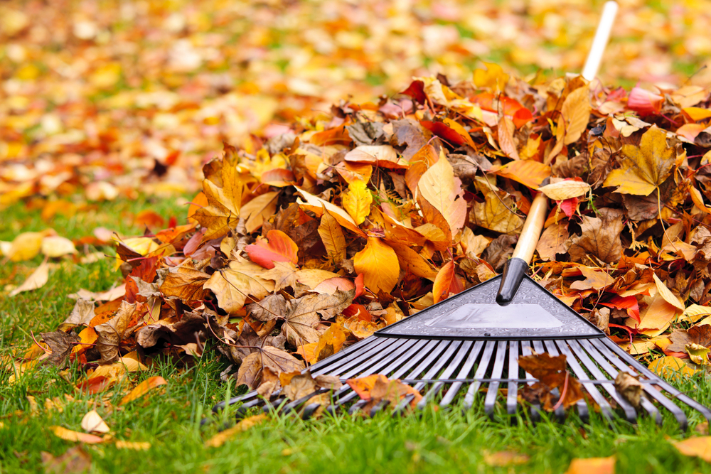 kiss-my-grass-demo-seasonal-lawn-care-2 kiss-my-grass-demo-seasonal-lawn-care-2